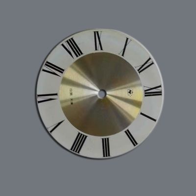 Dischi industriali in acciaio inossidabile a gravatura di precisione per la strumentazione